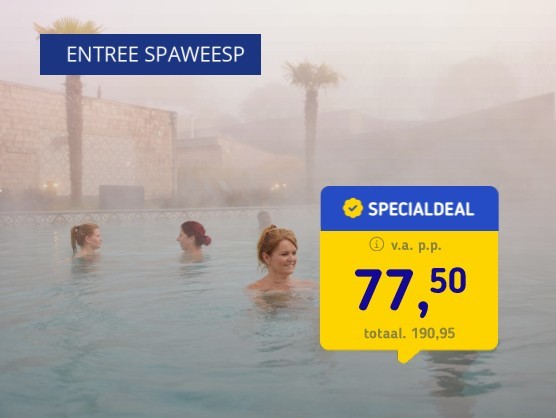 4*-hotel Amsterdam + entree SpaWeesp