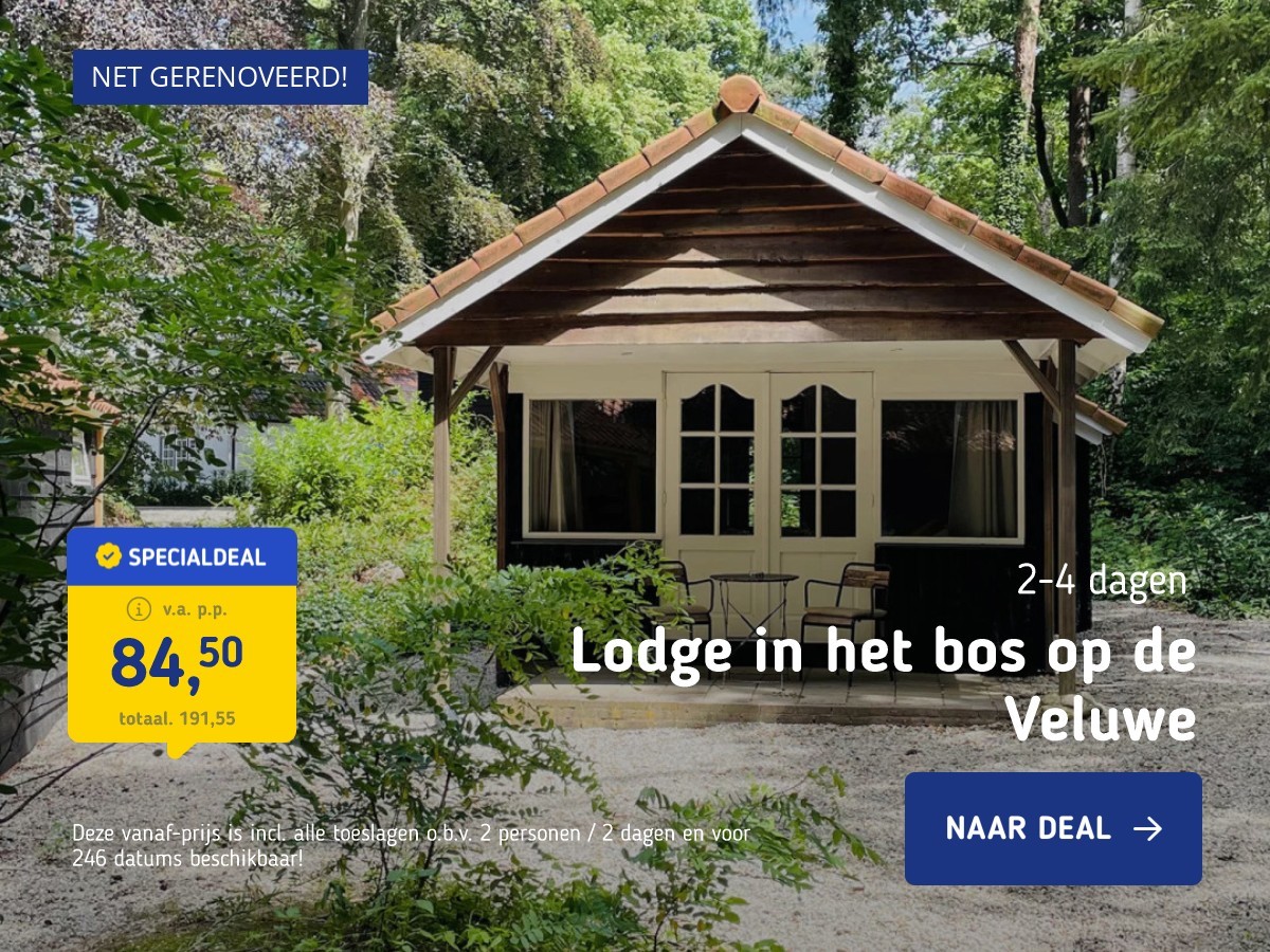 Lodge in het bos op de Veluwe