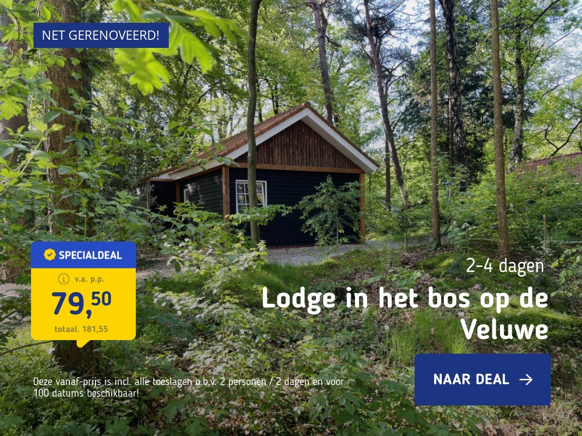 Lodge in het bos op de Veluwe