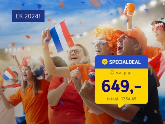 EK wedstrijd Nederland - Frankrijk