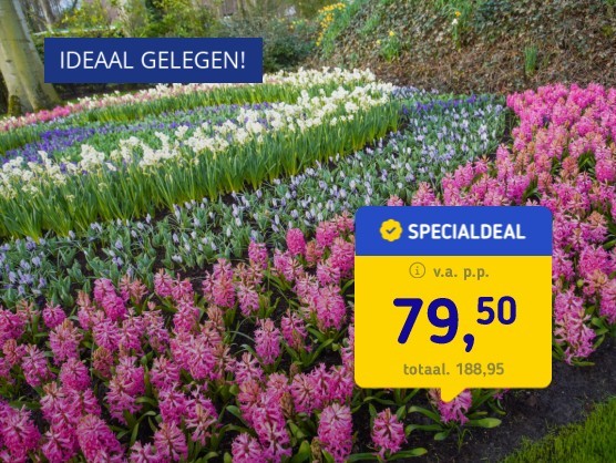 4*-hotel nabij De Keukenhof + ontbijt