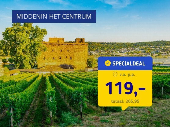 Wijnstad Rüdesheim o.b.v. halfpension