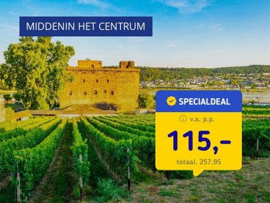 Wijnstad Rüdesheim + halfpension