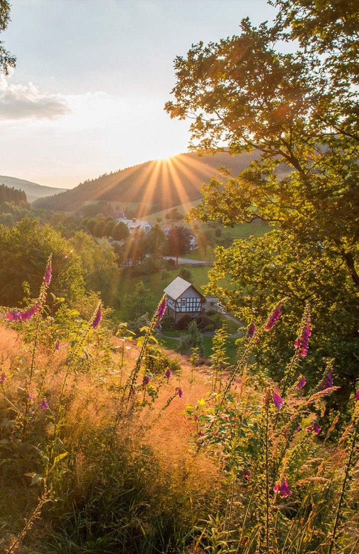 Sauerland