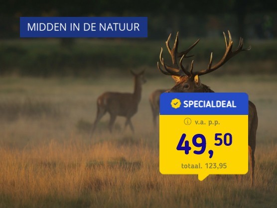 4*-hotel in de natuur van Arnhem