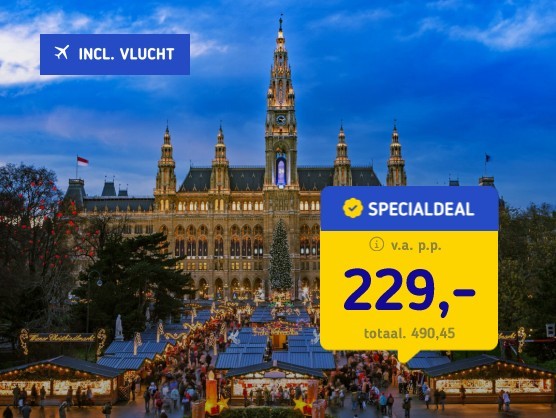 Bezoek de kerstmarkt Wenen + 4*-hotel