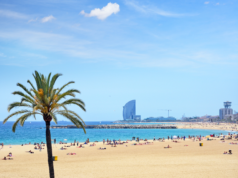 <font size=5><strong>🌴 Barcelona! - 23 graden ☀️</strong></font><br>